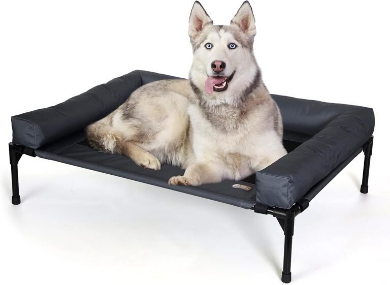 Dog Cot: 10 Ultimate Steps For Amazing Comfort In 2026 1 71JvN20iARL. AC SL1500 OurHomeFinds