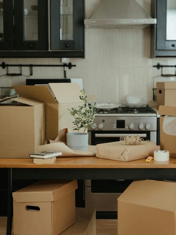 pexels-cottonbro-4568741